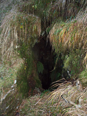 TI 339 Grotta in zona Caslón, ingresso