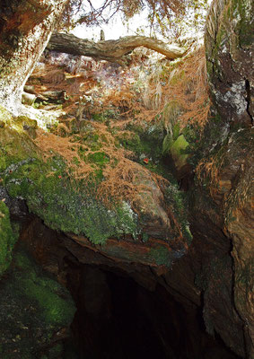TI 22 Grotta dell'Alpe Sponda, ingresso