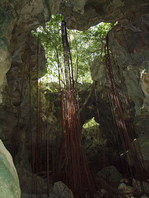 Cueva de El Puente: dolina di crollo