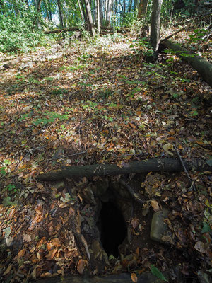 TI 180 Grotta della Cassina (Cassina), ingresso