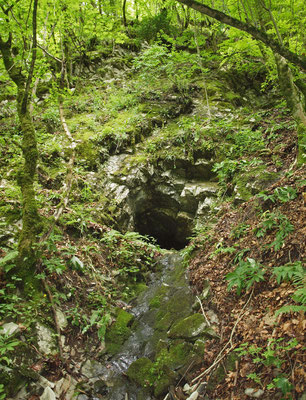 TI 189 Risorgenza Vallaccia, ingresso