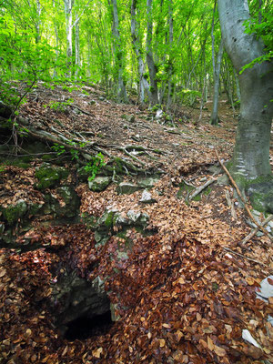 TI 125 Grotta della Peste, ingresso