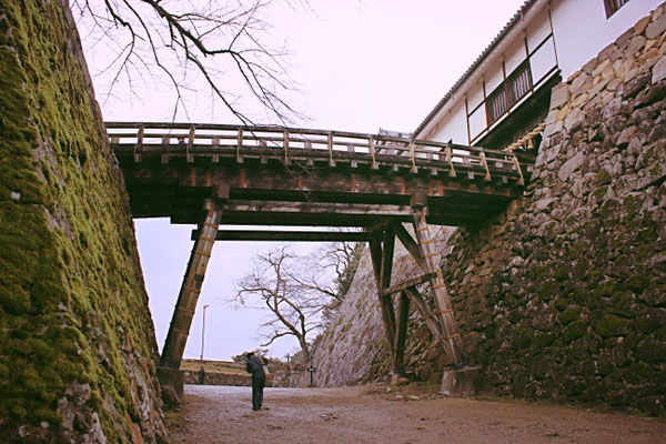 Burg Hikone