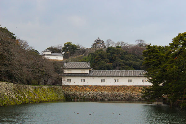 Wassergraben und umliegende Gebäude der Burg Hikone