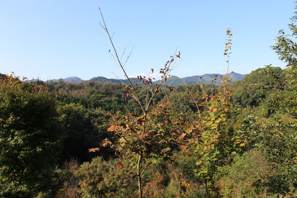 Auf dem Berg Hodosan