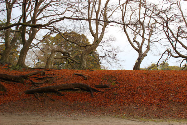 Auf dem Weg von der Burg zum Genkyuen-Garten.