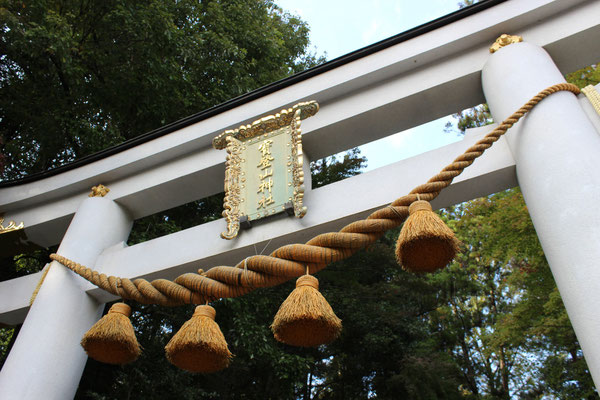 Geschmücktes Torii vor dem Schrein Hodosan