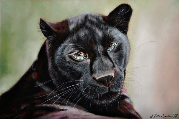 Black Panther, Pastell 20x30cm, Ref: Wildlife Reference Photos 