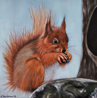 Eichhörnchen, Pastell auf Pastelmat 30x30cm