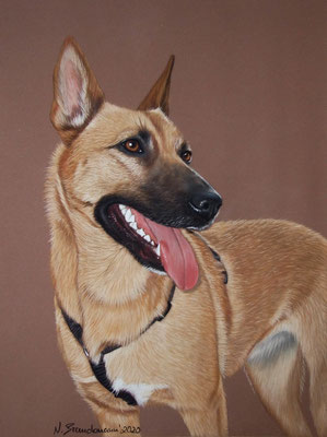 Malinoi Maja, Pastell 24x30cm