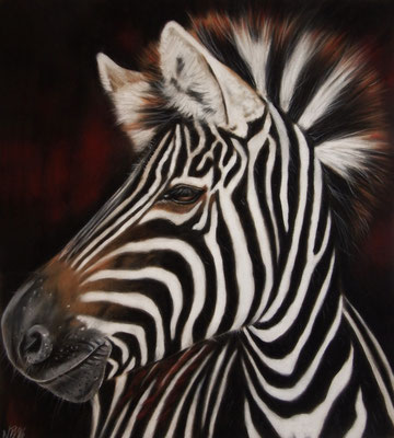 Zebra, Pastell auf Velour