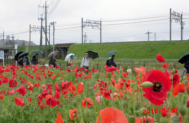 後に見えるのは東武日光線