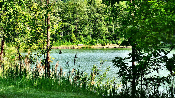 München, Rosenheim - Hagersee im Hagertal bei Kössen