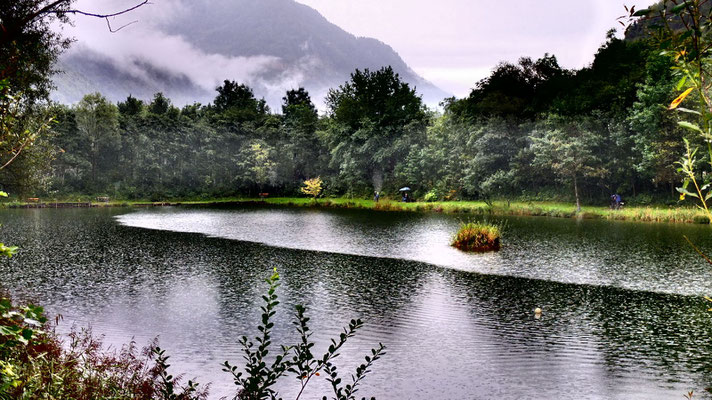 Kössen Hagersee im Hagertal (Landschaftsschutzgebiet Hefferthorn, Fellhorn, Sonnenberg)