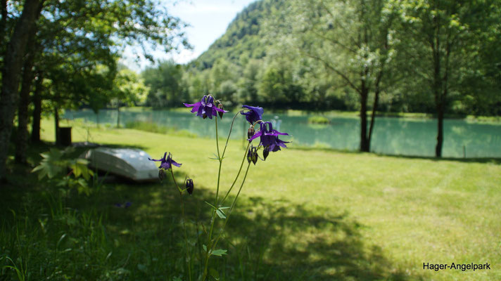 München, Rosenheim - Betriebsausflug, Junggesellenabschied, Familienfeier - Angeln in Tirol - ohne Angelschein