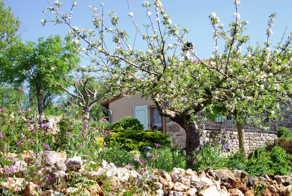 Jardin au printemps.