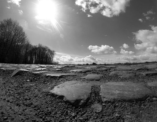 Pflaster für Legenden: das Radrennen Paris-Roubaix