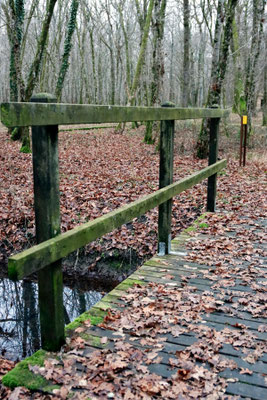 Camp Marguerre