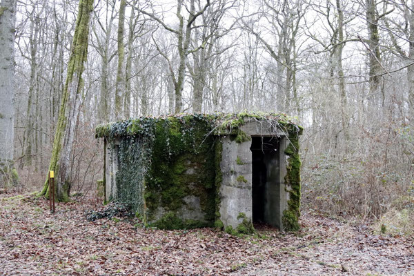 Camp Marguerre