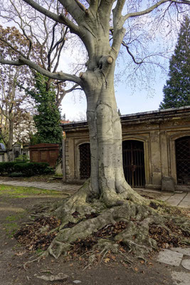 Innerer Neustädter Friedhof in Dresden