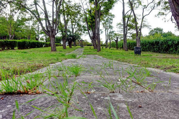 alter Friedhof des Landesalters- und Pflegeheims in Heidesheim