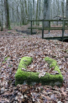 Camp Marguerre