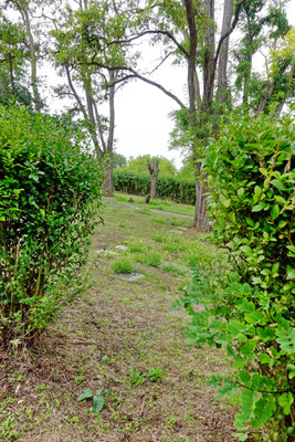 alter Friedhof des Landesalters- und Pflegeheims in Heidesheim