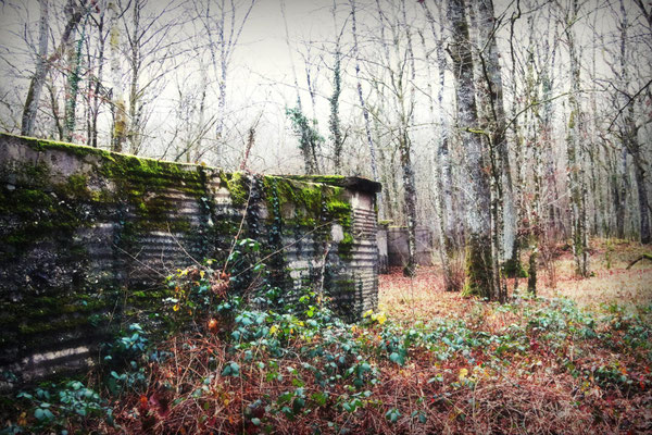 Camp Marguerre