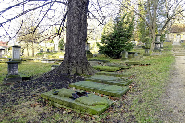 Nicolaifriedhof Görlitz