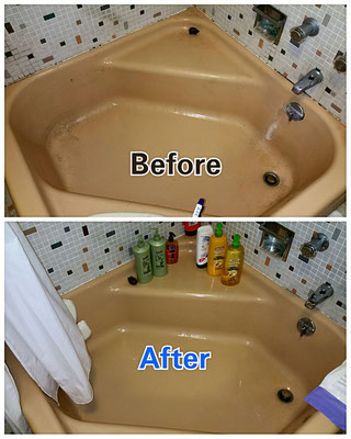 Thorough professional cleaning at a great price