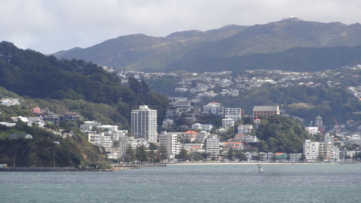 ANFAHRT AUF WELLINGTON