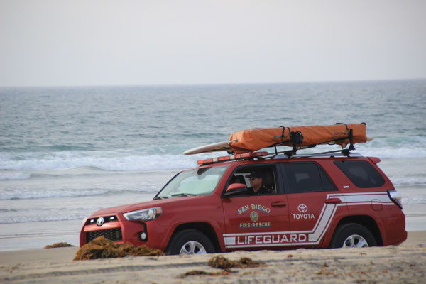 Baywatch???