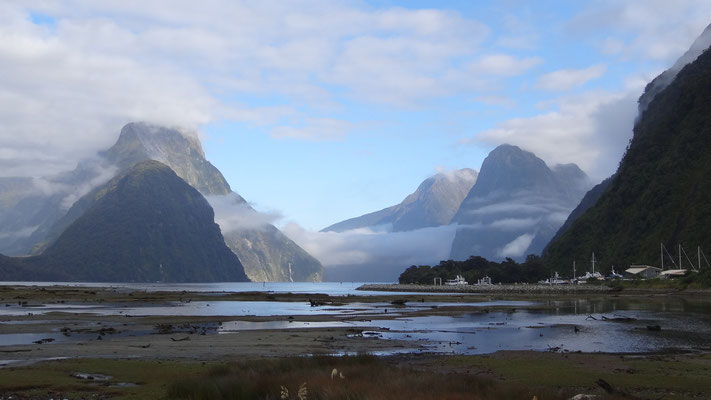 DER ERSTE BLICK AUF DEN WELTBERÜHMTEN MILFORD SOUND