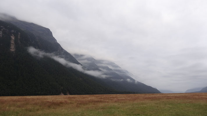 NEBLIGE ANFAHRT ZUM MILFORD SOUND. ABER DANN......