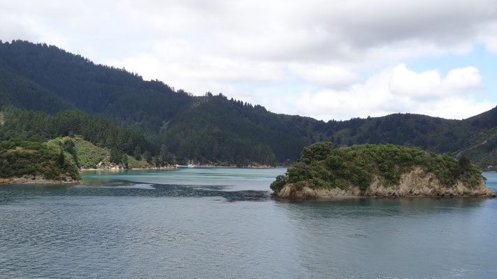 AUSFAHRT AUS DER COOK STRAIT