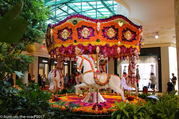 The Wynn innen
