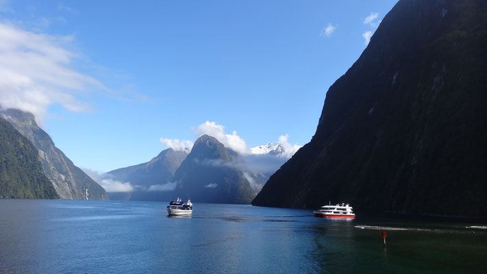 DER MILFORD SOUND IM SONNENSCHEIN. HABEN WIR EIN GLÜCK!!!!!!
