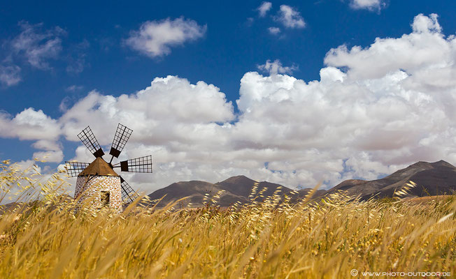 Windmühle bei Tefia