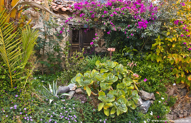 Garten in Fataga/Gran Canaria