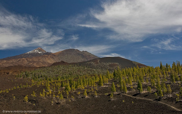 Teide-NP, Samara, Teneriffa
