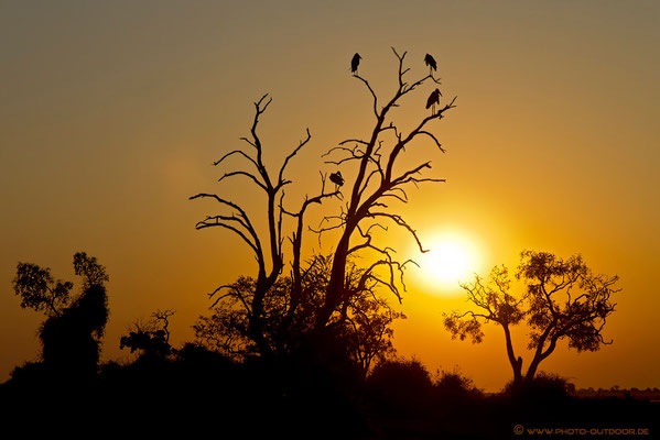 Sonnenuntergang im Chobe-NP/Botswana