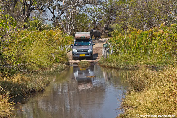 Von hinten kommen Elefanten, dann doch lieber durch´s Wasser: Third Bridge im Moremi-NP / Botswana