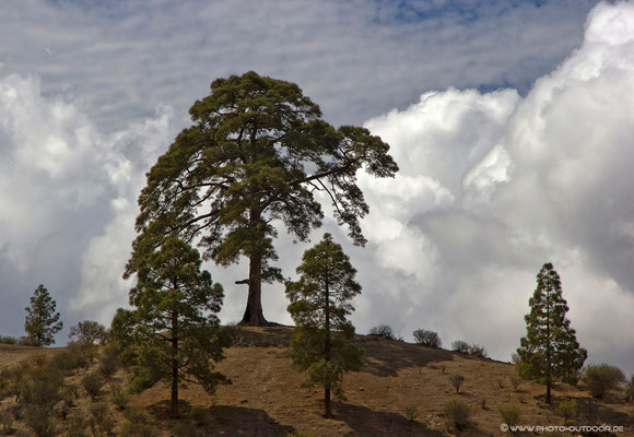 Über den Wolken von Gran Canaria