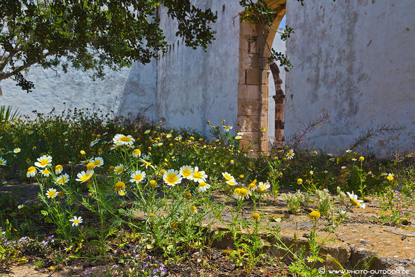 ehemaliges Kloster San Buaneventura