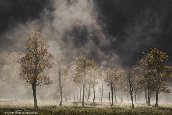 Die Magie des Augenblicks: Nur für 10 Minuten war dieser Nebel vorhanden und hat in der aufgehenden Sonne die Landschaft verzaubert.