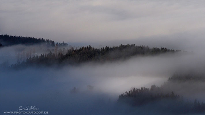 ... nur einzelne kleine Waldinseln ragen aus dem Nebel hervor.