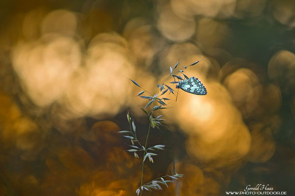 Die ersten Sonnenstrahlen beleuchten den Hintergrund