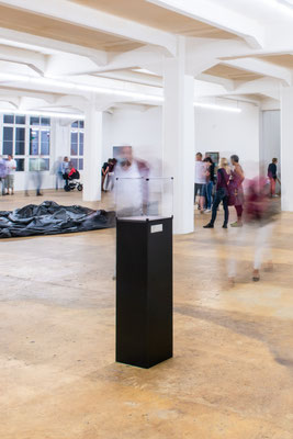 Die (letzte) Honigbiene