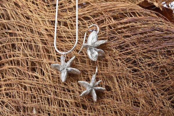 - Sternanis Samenstand - Ohrschmuck 299.- Anhänger ohne Kette 229.- Schlangenkette 130.-