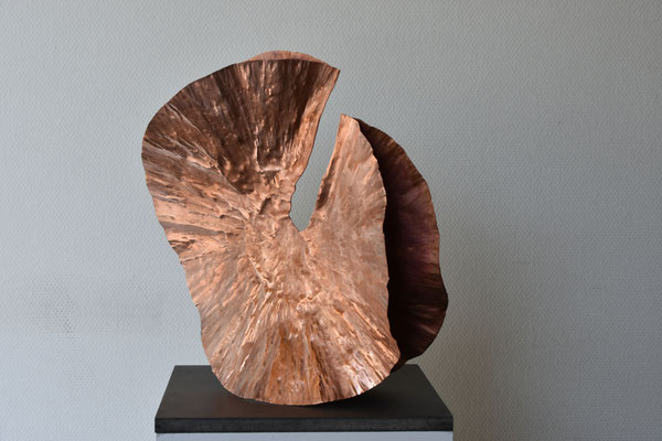 Die Antwort des Zufalls